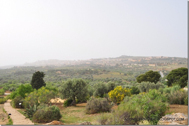 DSC_0098-Agrigento