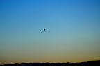 DSC_2253.JPG