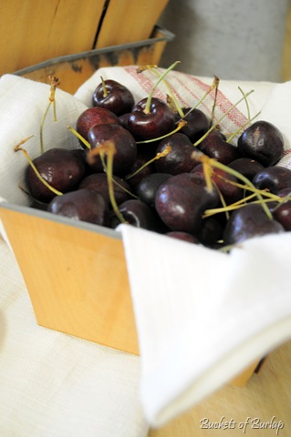 [cherries%255B6%255D.jpg]
