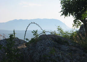 IMG_2745.jpg
