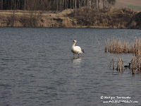 dsc07095.jpg