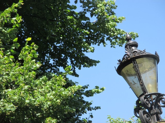 20140724 (8) (Small) 20140724 (8) (Small)