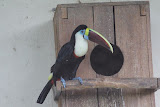 IMG_8566.JPG