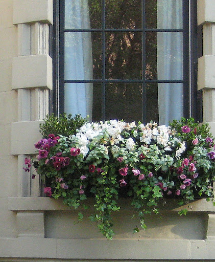 Lovely Windowbox