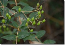 DSC_0372 DSC_0372