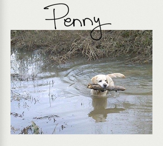 [Penny-26.jpg]