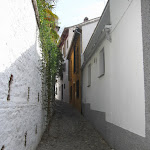 IMG_1072.JPG