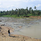 l043.jpg
