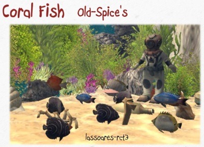 [Coral%2520Fish%2520%2528Old-Spice%2529%2520lassoares-rct3%255B4%255D.jpg]