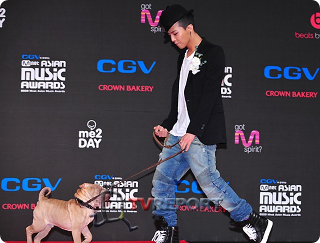 gaho gaho