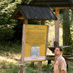 tadeo_budowlany_43.jpg