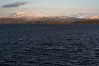 Molde