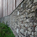 DSCF0137.jpg DSCF0137.jpg