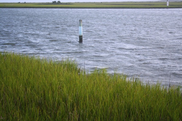Beach Trip 2011 203-1