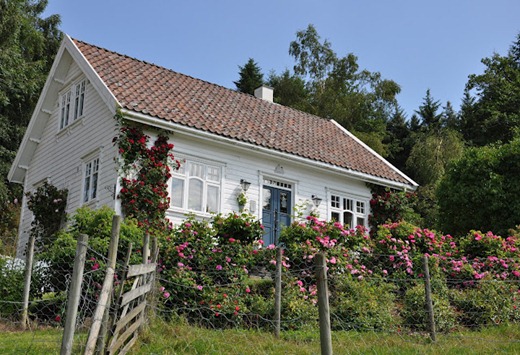 Sommeren 2010 361 Sommeren 2010 361