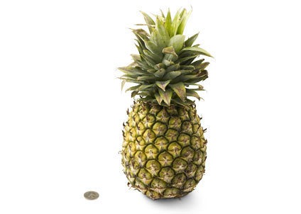 [33-pineapple9.jpg]
