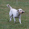 IMG_1247.JPG