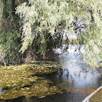 DSCN8142.JPG