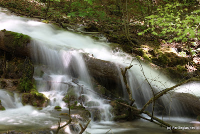 beautiful waterfall landscape during the spring