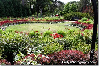 St Cloud Gardens-36