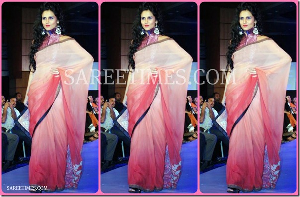 Dual_Color_Saree