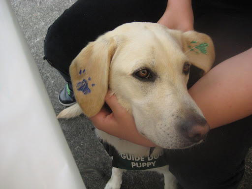 sporting her ear tattoos