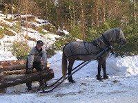 IMG_5137.JPG