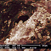 Cell_membraneaa.jpg