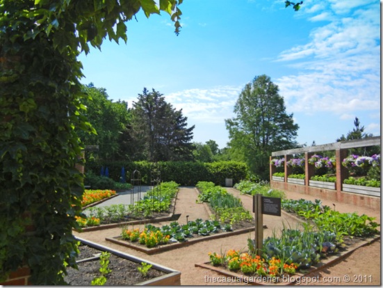 vegetable garden view at Chicago Botanic Garden