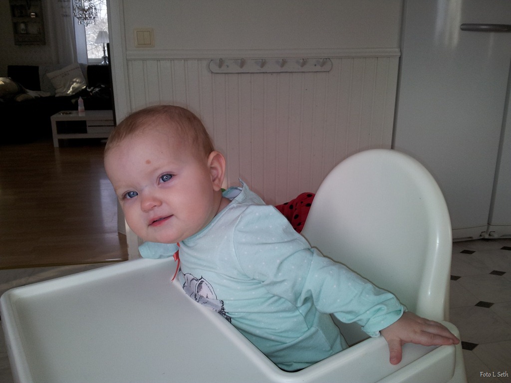 [2012-02-01%252010.50.37%255B6%255D.jpg]