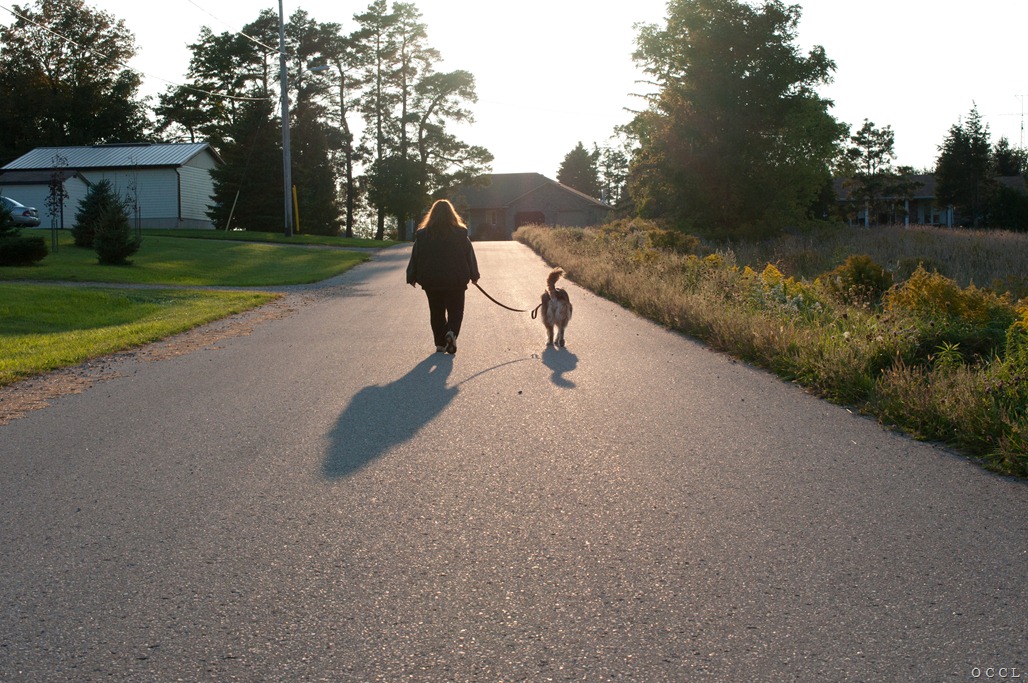 [our%2520walk%2520%25283%2529%255B3%255D.jpg]