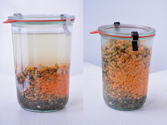 [lentils_soaked%255B4%255D.jpg]