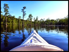 07b - paddling into the cypress swamp