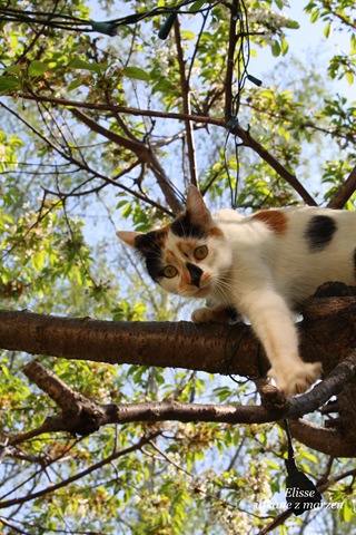 [IMG_160913.jpg]