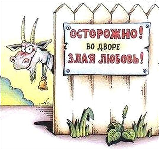 муж-козел муж-козел