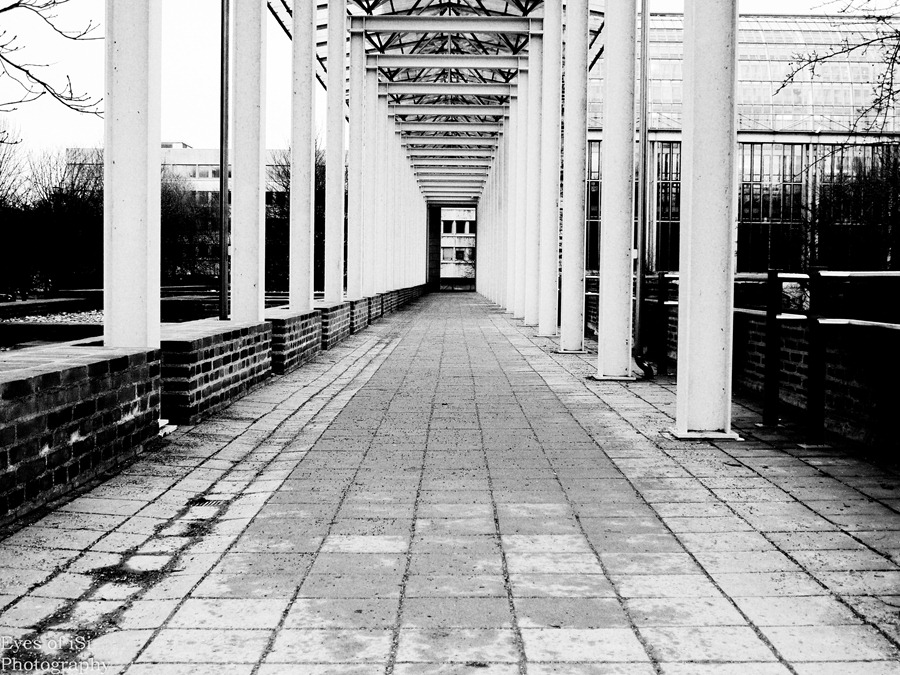 [Eyes-of-iSi-Mnchen-Schwarz-Wei-Tore3.jpg]