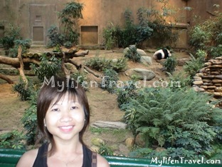 Ocean Park Asian Animal 04 Ocean Park Asian Animal 04