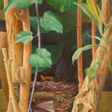 Mieke Schaper - 