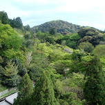 forest around kiyomizu in Kyoto, Japan 