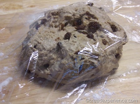 cinnamon-raisin-oatmeal-bread 007