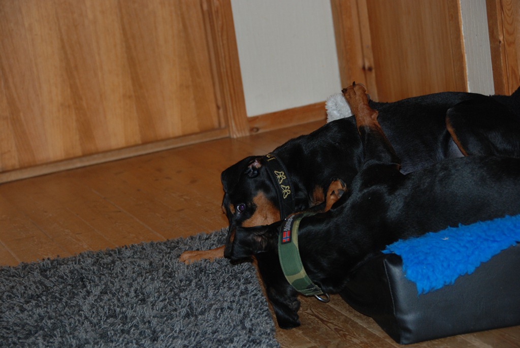 [DSC_0714%255B5%255D.jpg]