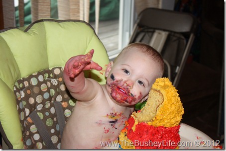 IMG_0365 IMG_0365