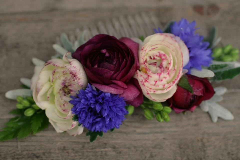 [centaurea-534255_409344685764260_107%255B2%255D.jpg]