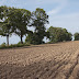 DSC02184.JPG