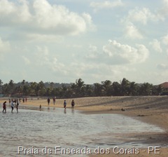 DSC02802