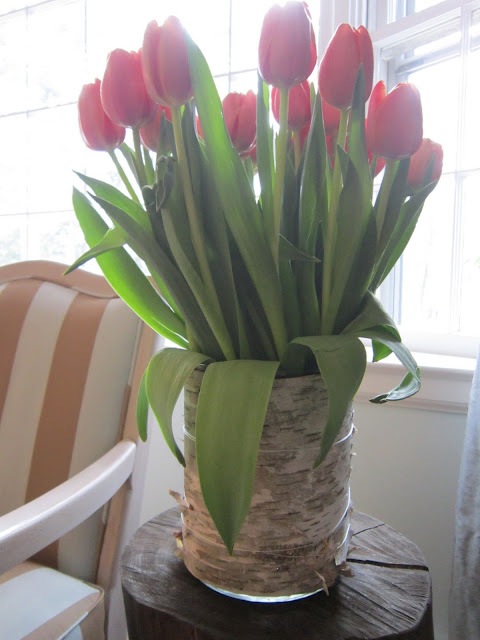 [tulips-in-bark-25.jpg]