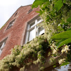 20100815_078_small.JPG