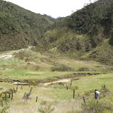 Trikora - up the ravine on way back to Lake Habbema (Ricky Munday, Dec 2, 2010)