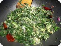 IMG_4423 IMG_4423