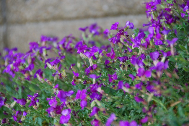 [DSC_0330%255B2%255D.jpg]